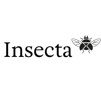 Insecta